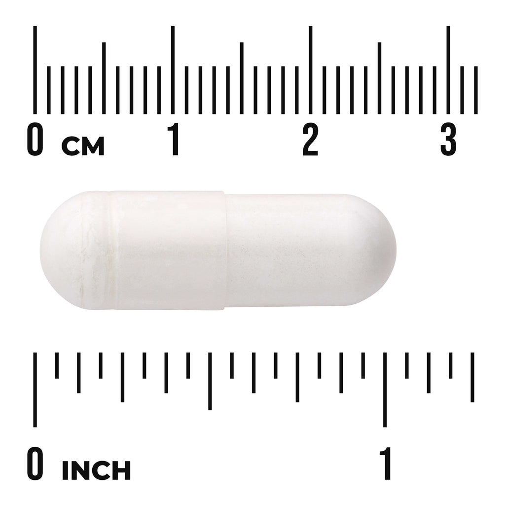 SWU682 | White two-piece capsule centered between rulers showing centimeters and inches, visible text '0 CM' and '0 INCH' - Thumbnail