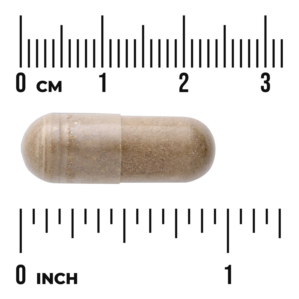 SW971 | Capsule with brown powder shown next to cm and inch rulers - Thumbnail