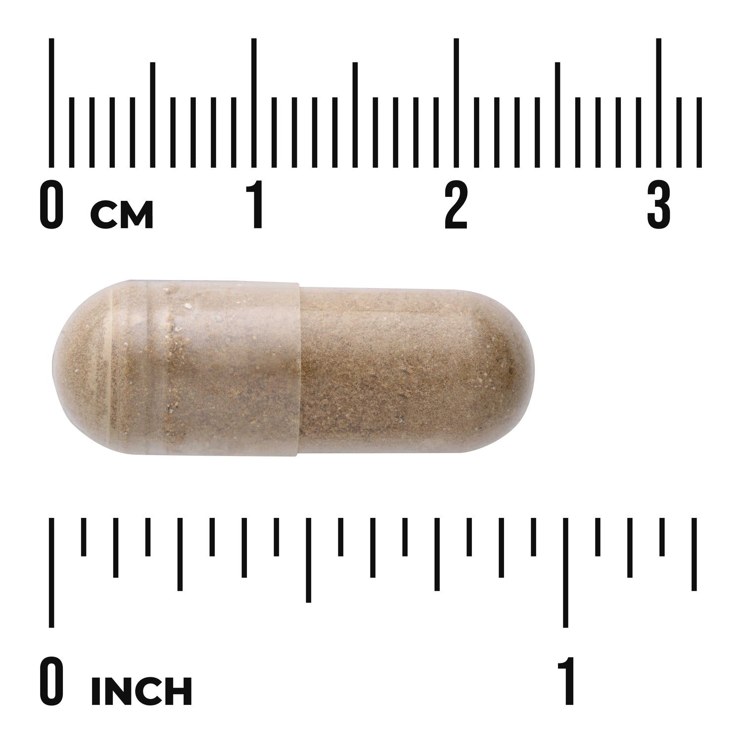 SW971 | Capsule with brown powder shown next to cm and inch rulers