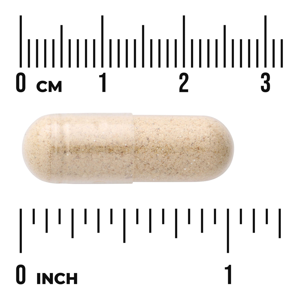 SW1258 | Clear gelatin capsule filled with beige powder centered on rulers showing centimeter and inch scales - Thumbnail