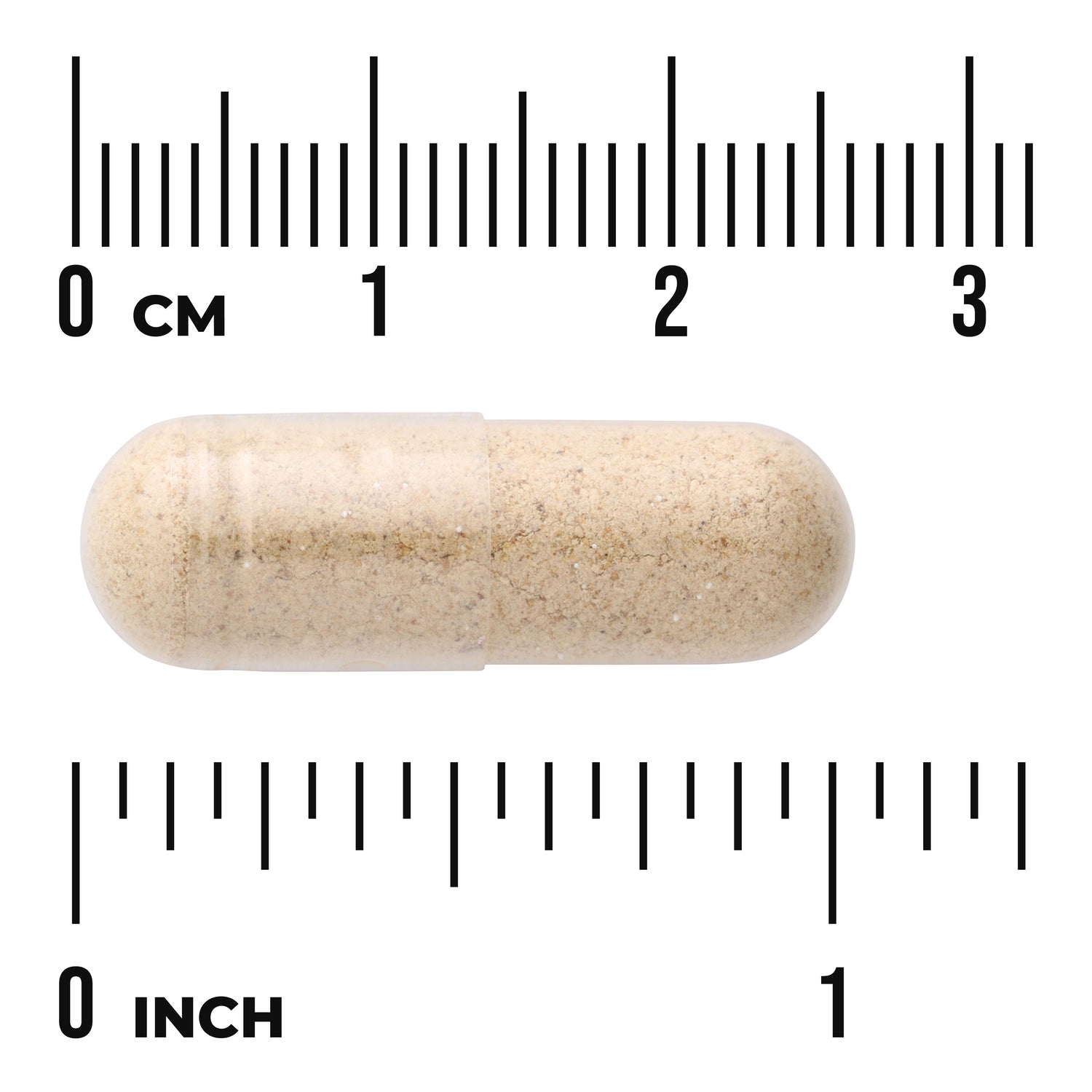 SW1258 | Clear gelatin capsule filled with beige powder centered on rulers showing centimeter and inch scales