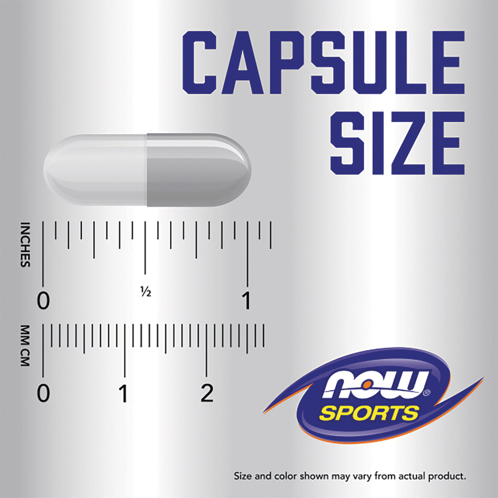 NWF1388 | Capsule size graphic showing a gray capsule over inch and mm rulers, text CAPSULE SIZE and NOW SPORTS logo - Thumbnail