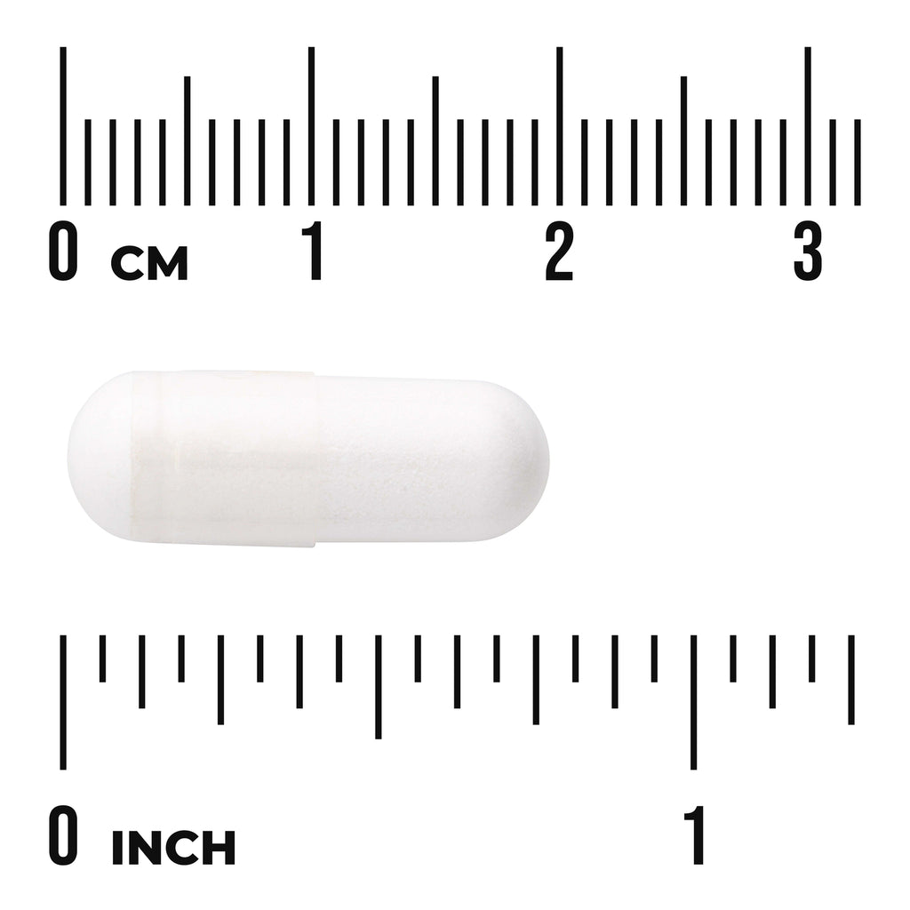 SWU334 | White capsule shown with centimeter and inch rulers for size reference - Thumbnail