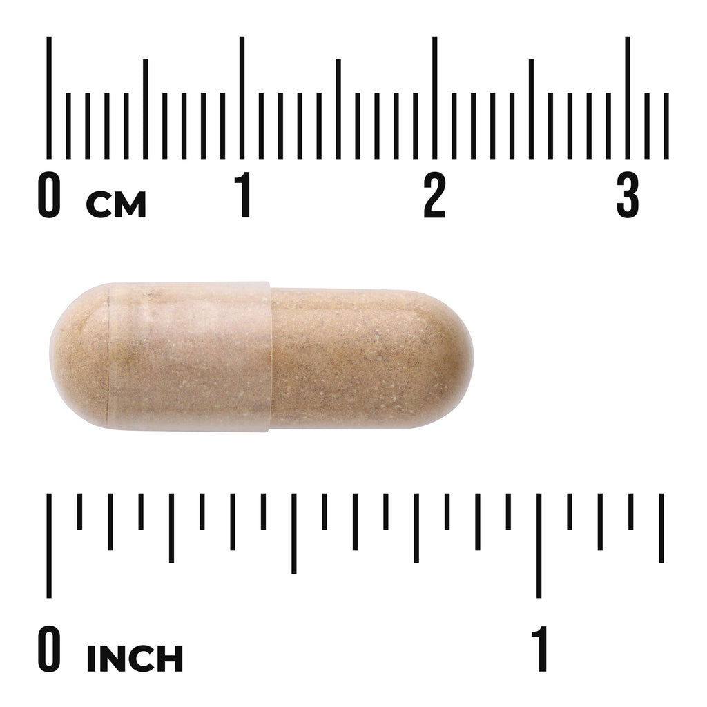 SW1313 | Brown supplement capsule on white background with centimeter and inch rulers showing size - Thumbnail