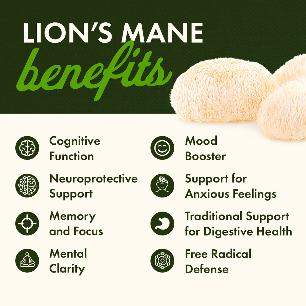 SW1945 | LION'S MANE benefits Cognitive Function Neuroprotective Support Memory and Focus Mental Clarity Mood Booster Support - Thumbnail