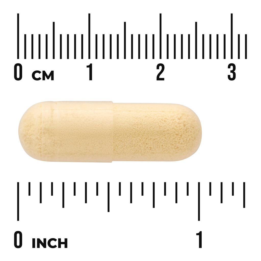 SWU087 | Beige capsule on rulers showing centimeters and inches for size reference - Thumbnail