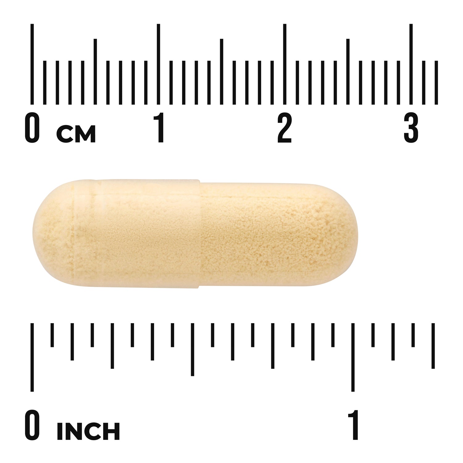 SWU087 | Beige capsule on rulers showing centimeters and inches for size reference