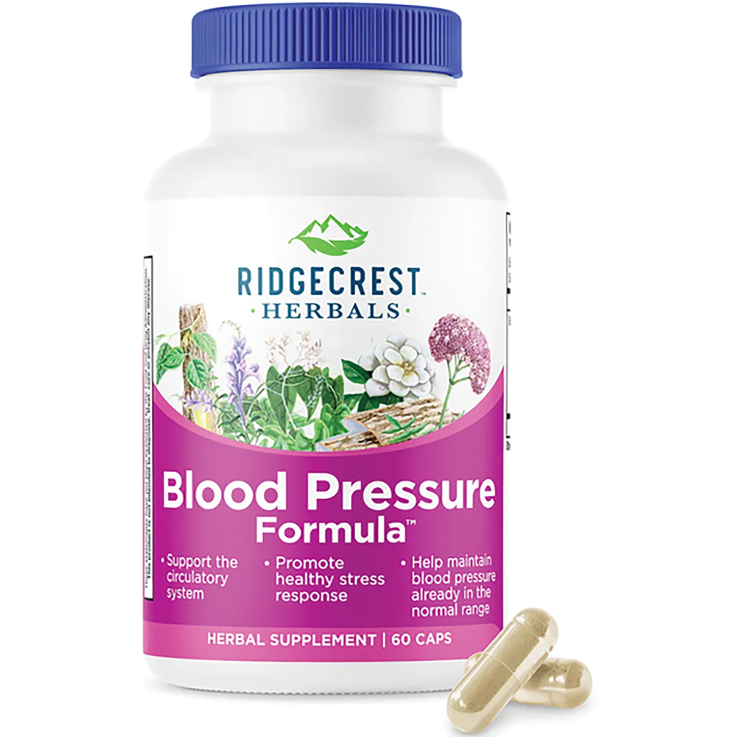 PH066 | Ridgecrest Herbals Blood Pressure Formula supplement bottle, 60 vegan capsules