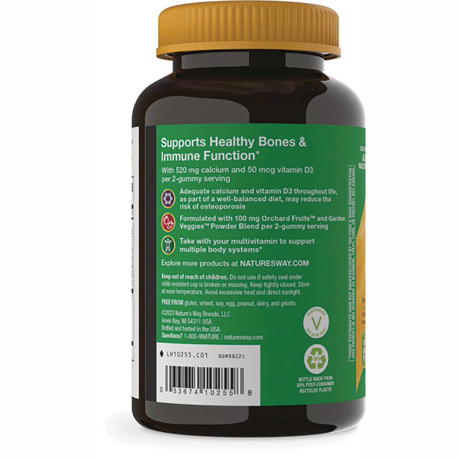 NW871 | Back of brown supplement bottle with green label reading Supports Healthy Bones & Immune Function, barcode visible