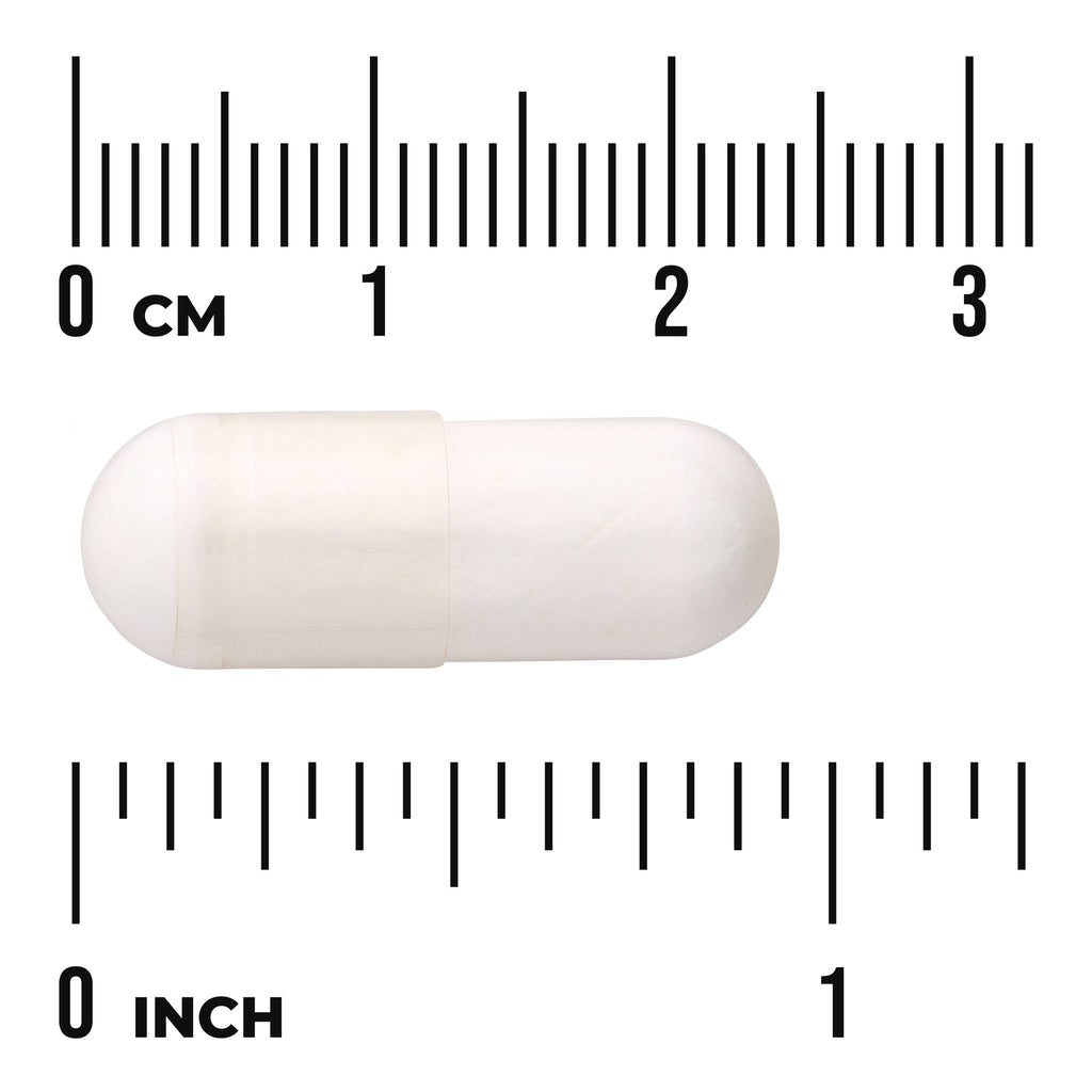 SWA038 | White two-piece capsule on metric and inch rulers showing "0 cm" and "0 inch" - Thumbnail
