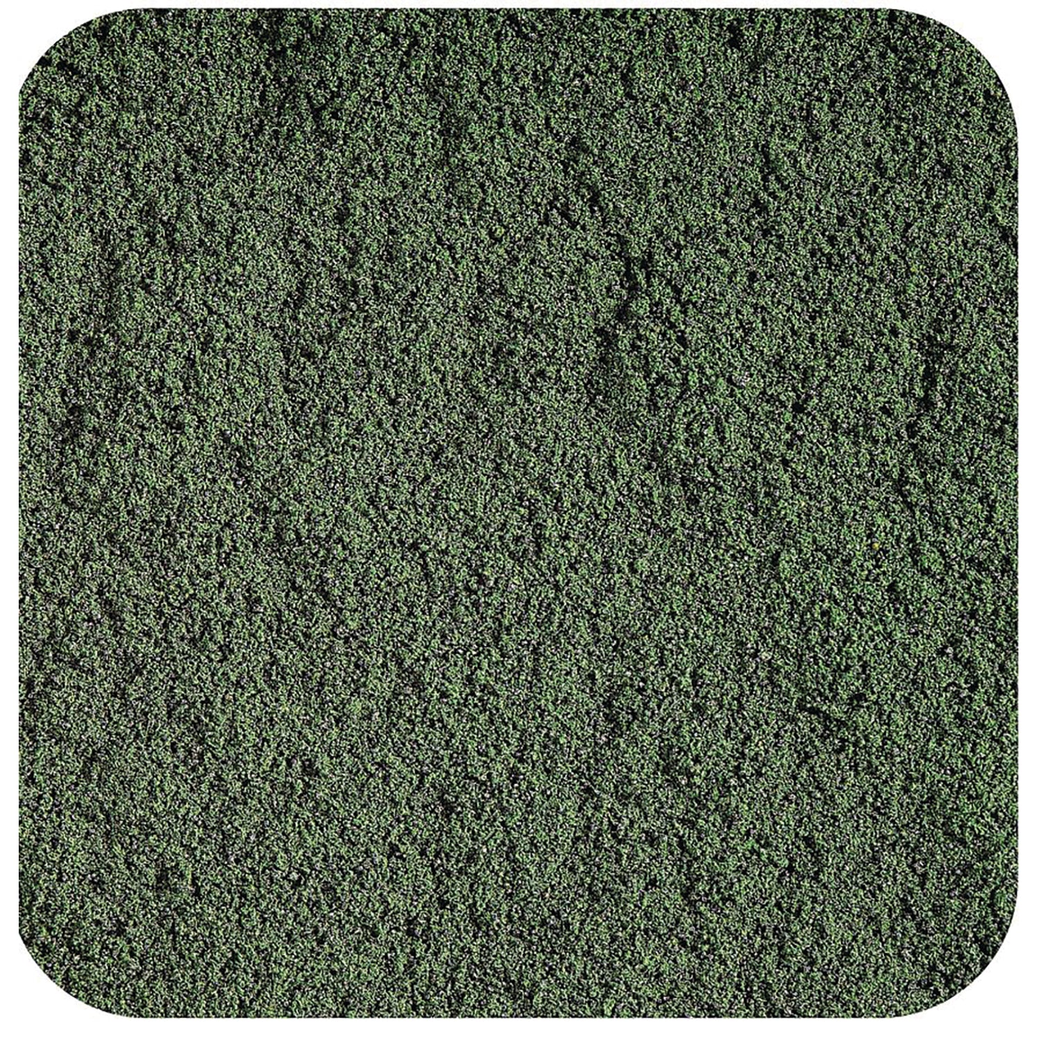 STB006 | Close-up of dark green powder