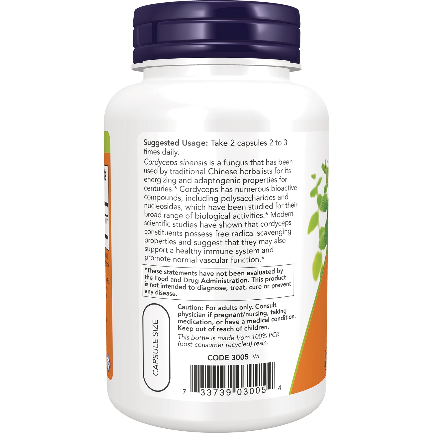 NWF963 | Back of white supplement bottle showing suggested usage, warnings, barcode and capsule size label