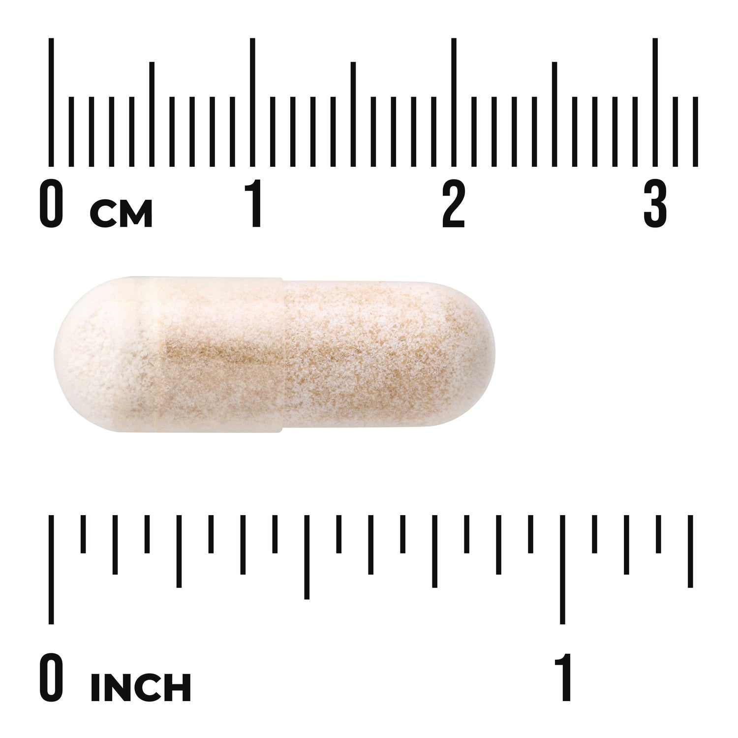 SW1146 | Capsule size shown against cm and inch ruler