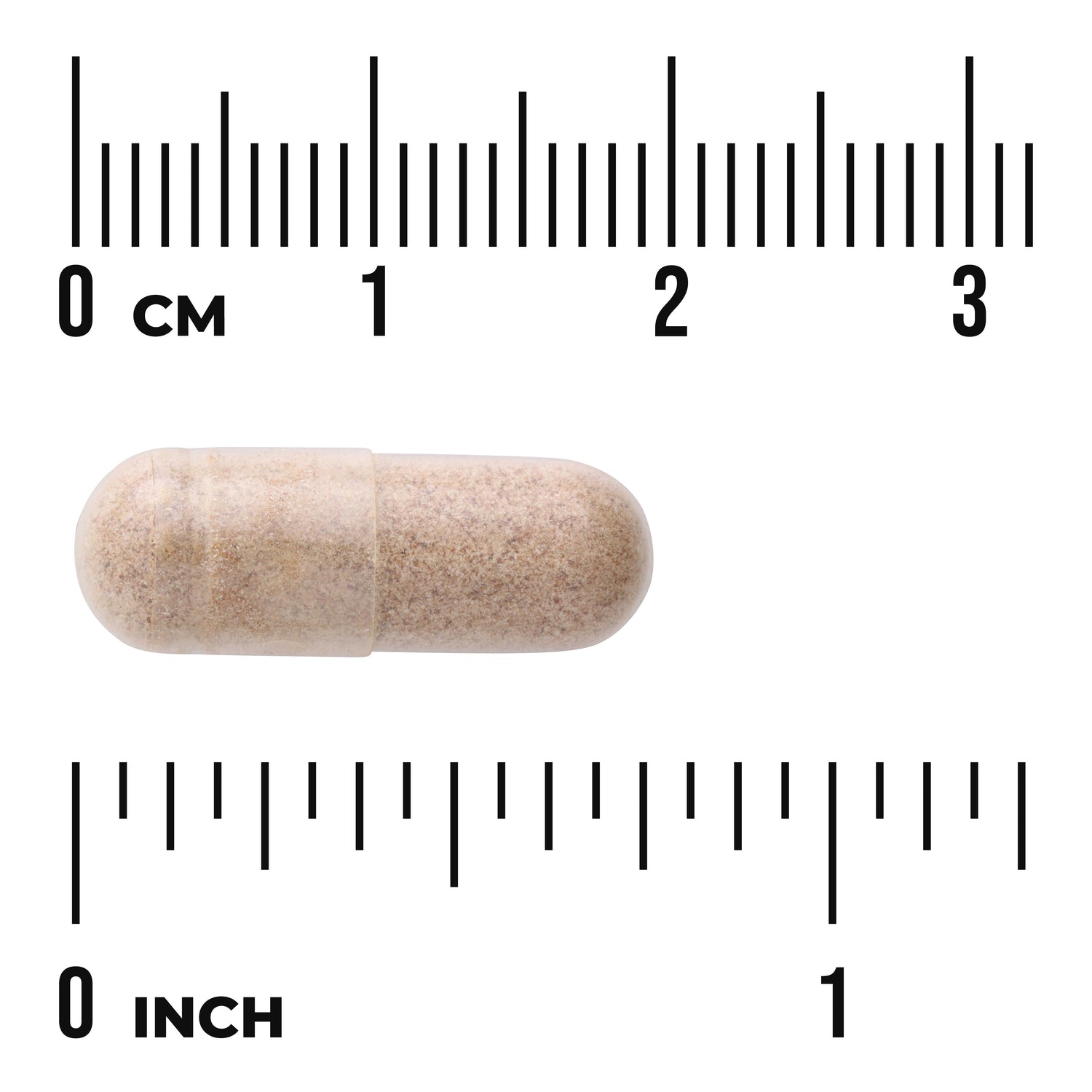 SWU366 | beige capsule photographed with centimeter and inch rulers to show size