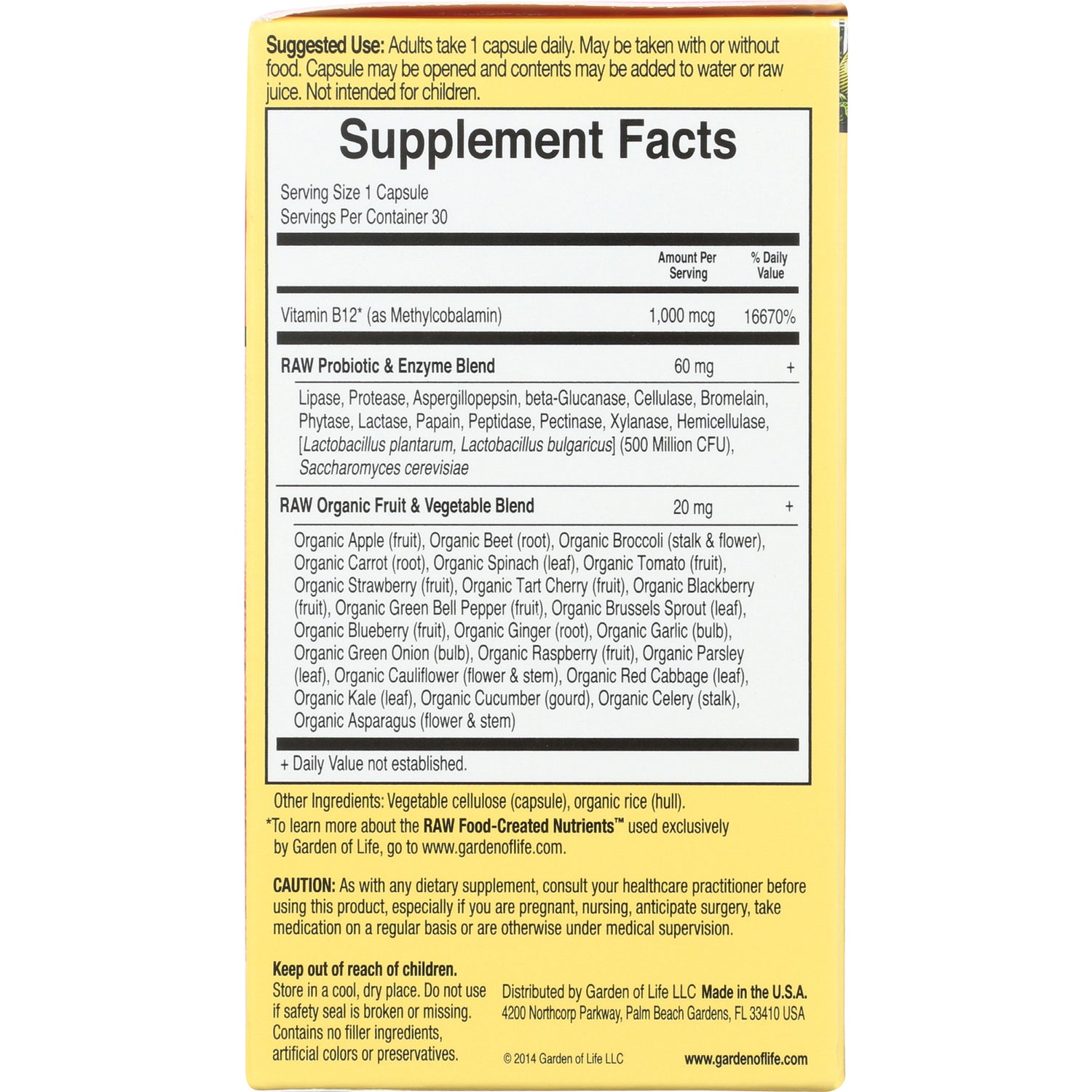 GLF101 | Back panel showing Supplement Facts with serving size, Vitamin B12, RAW probiotic and organic fruit and vegetable blends