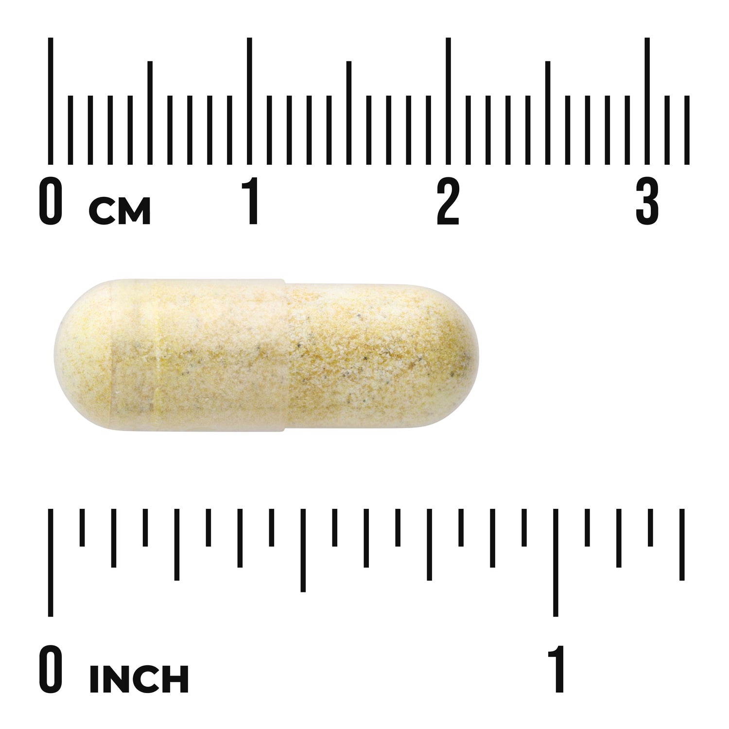 SWH264 | Capsule form shown with centimeter and inch rulers for size reference
