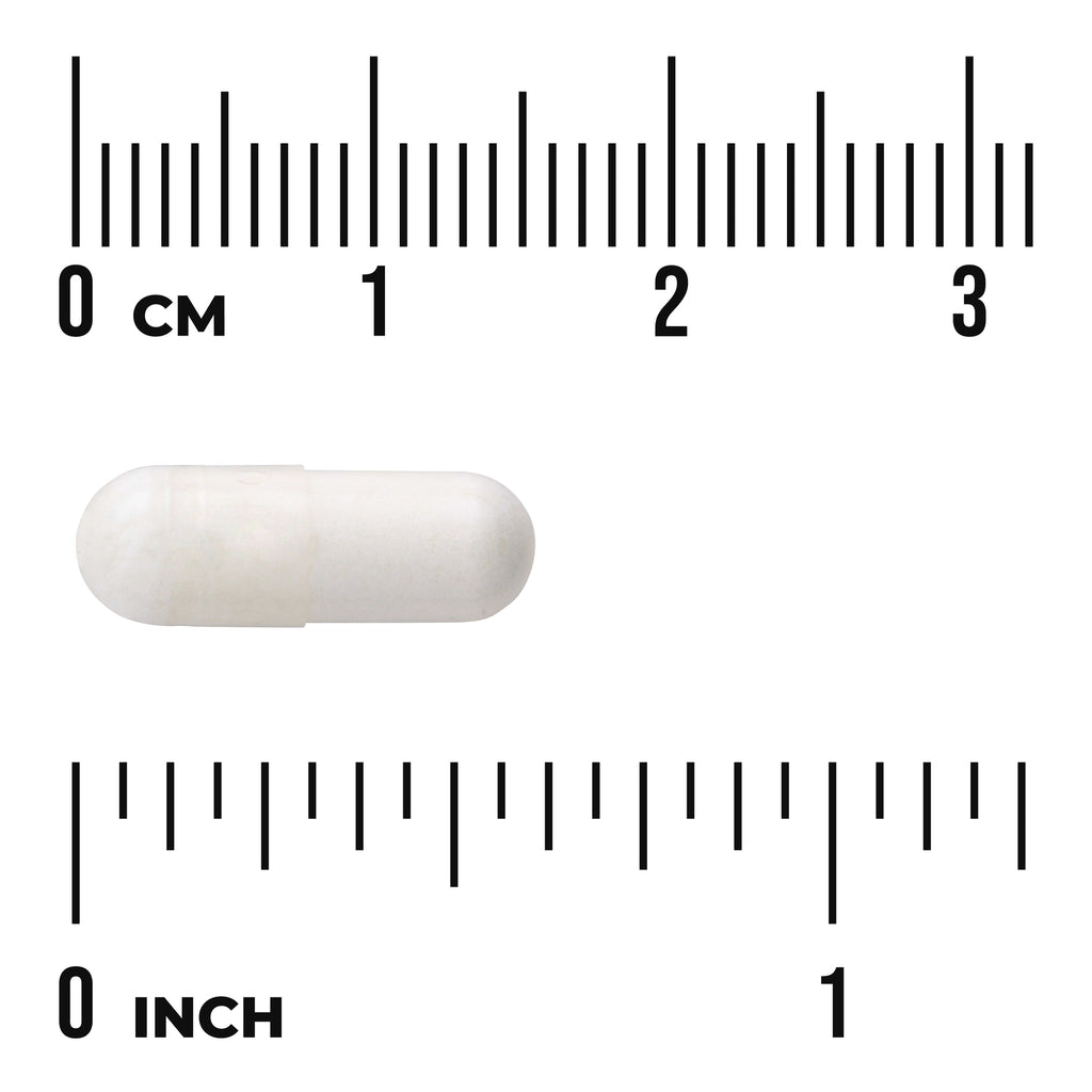 SWU171 | White capsule shown with cm and inch rulers for size reference - Thumbnail