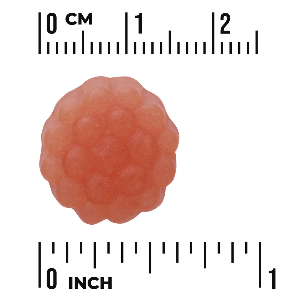 SW1803 | Pink gummy chew shown with ruler, about 1 inch wide - Thumbnail