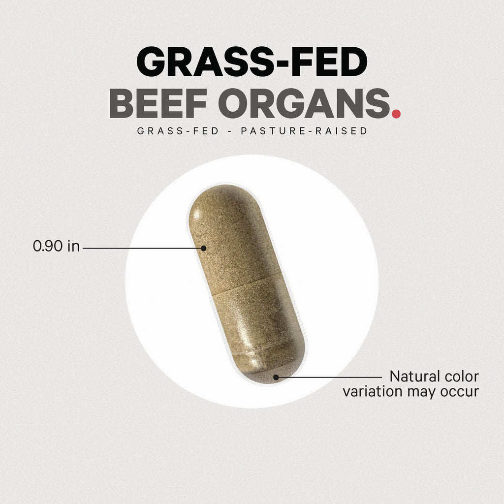 Capsule close-up with callouts 0.90 in and Natural color variation may occur, labeled GRASS-FED BEEF ORGANS - Thumbnail