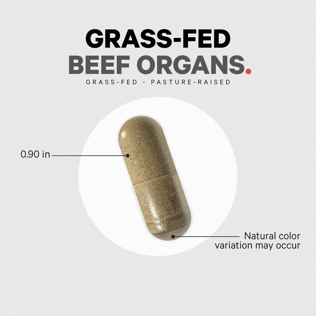 Capsule close-up with callouts 0.90 in and Natural color variation may occur, labeled GRASS-FED BEEF ORGANS - Thumbnail