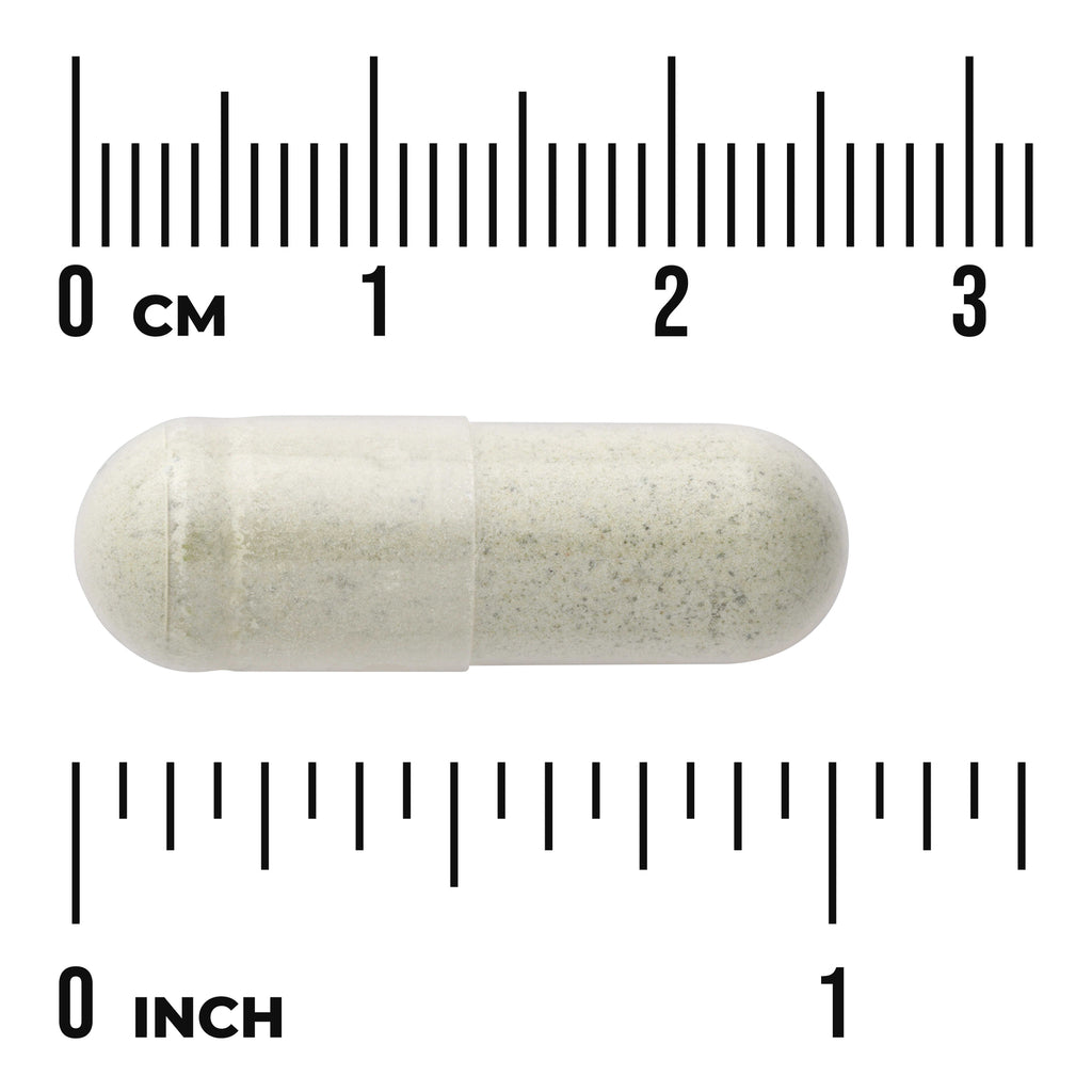 SW1593 | Capsule with size reference in centimeters and inches - Thumbnail