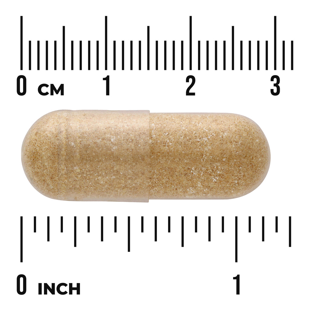 SW1128 | beige two-piece capsule on metric and inch rulers showing size about 1 inch - Thumbnail
