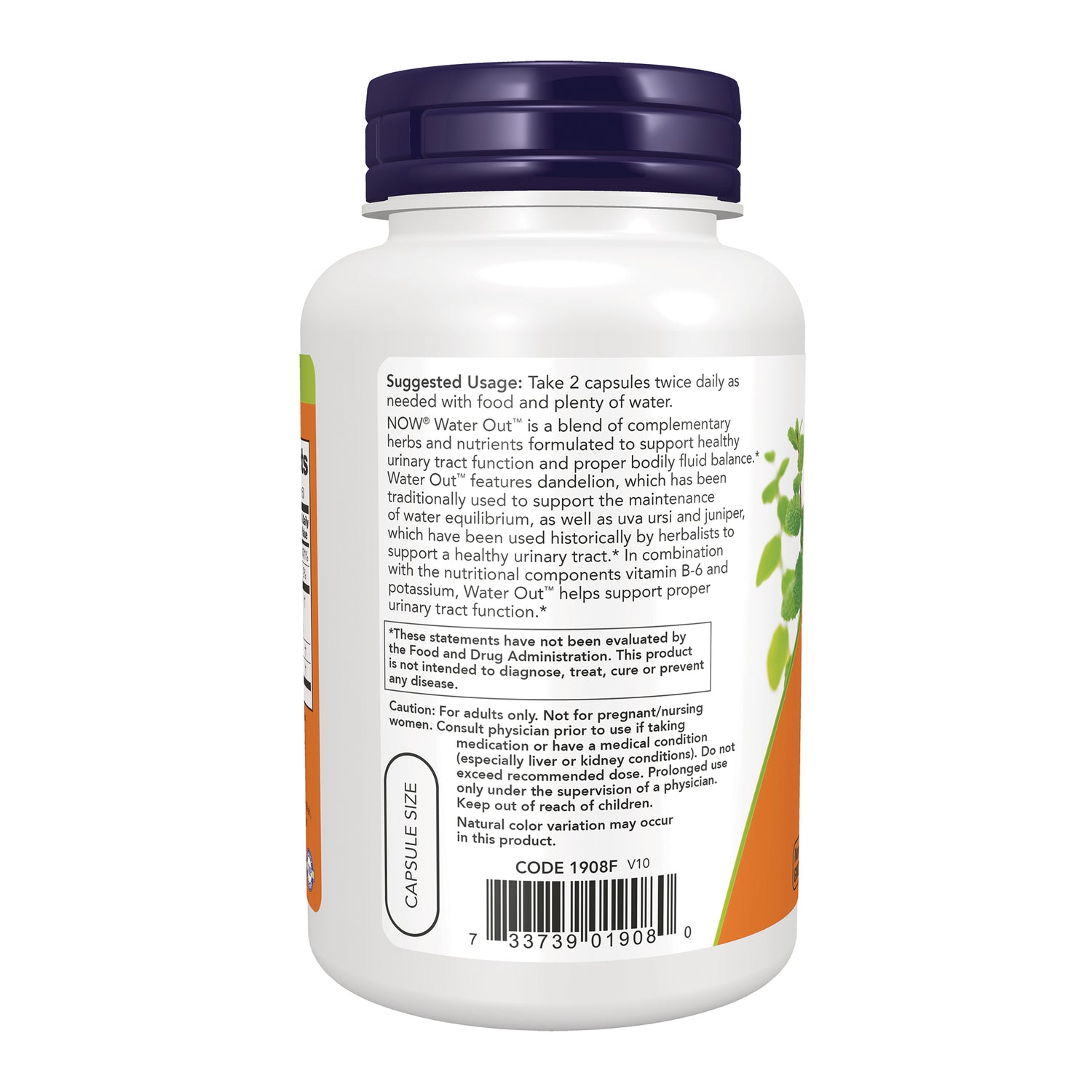 NWF718 | Back of white supplement bottle showing suggested usage, warnings, barcode and capsule size label