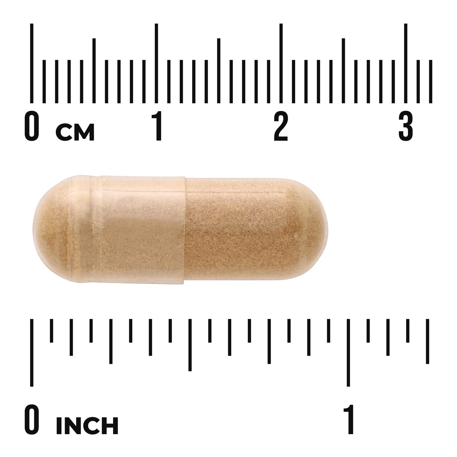 SW1957 | Brown capsule shown against centimeter and inch rulers for size reference