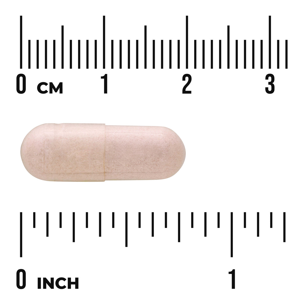 SW922 | Capsule shown with centimeter and inch rulers for size reference - Thumbnail