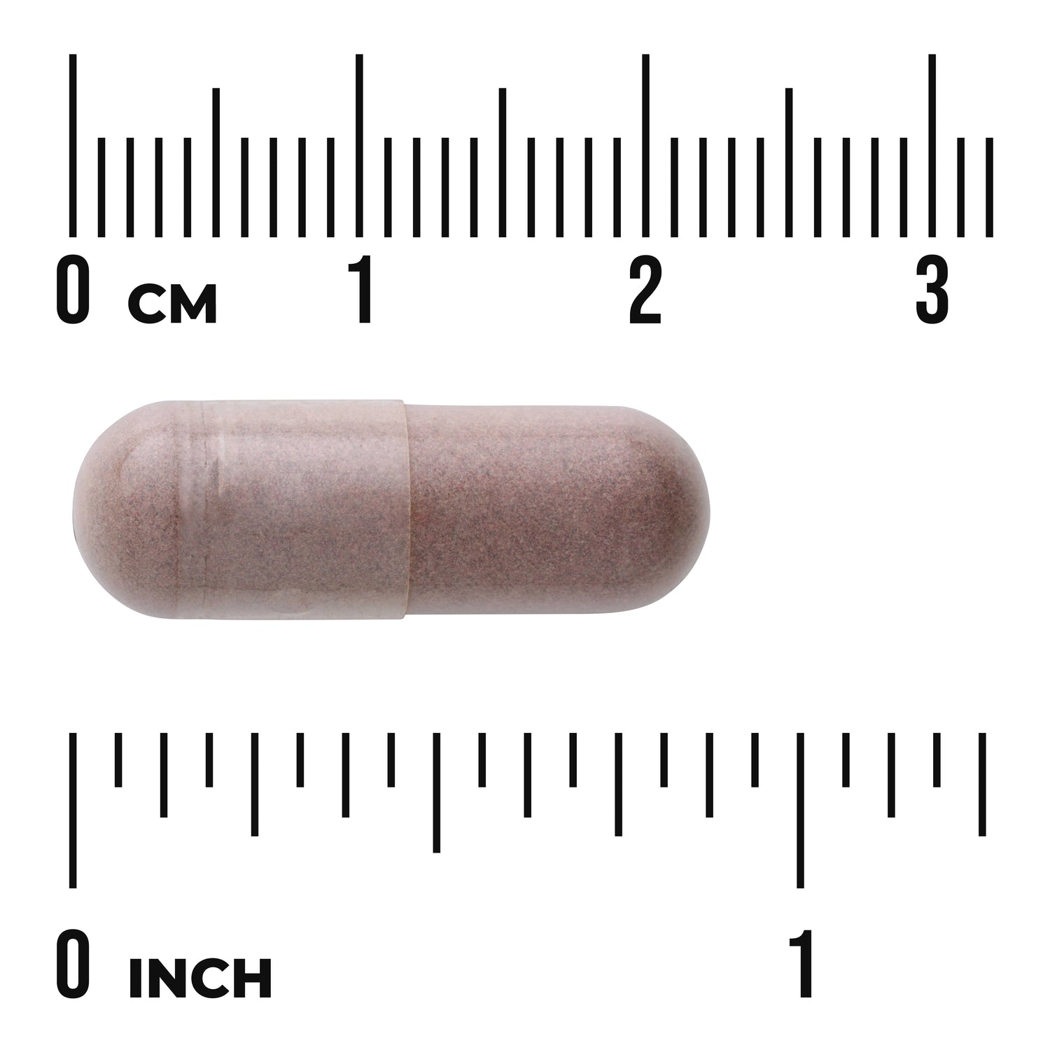 SW1272 | Brown supplement capsule centered between centimeter and inch rulers showing size, with visible "0 cm" and "0 inch"