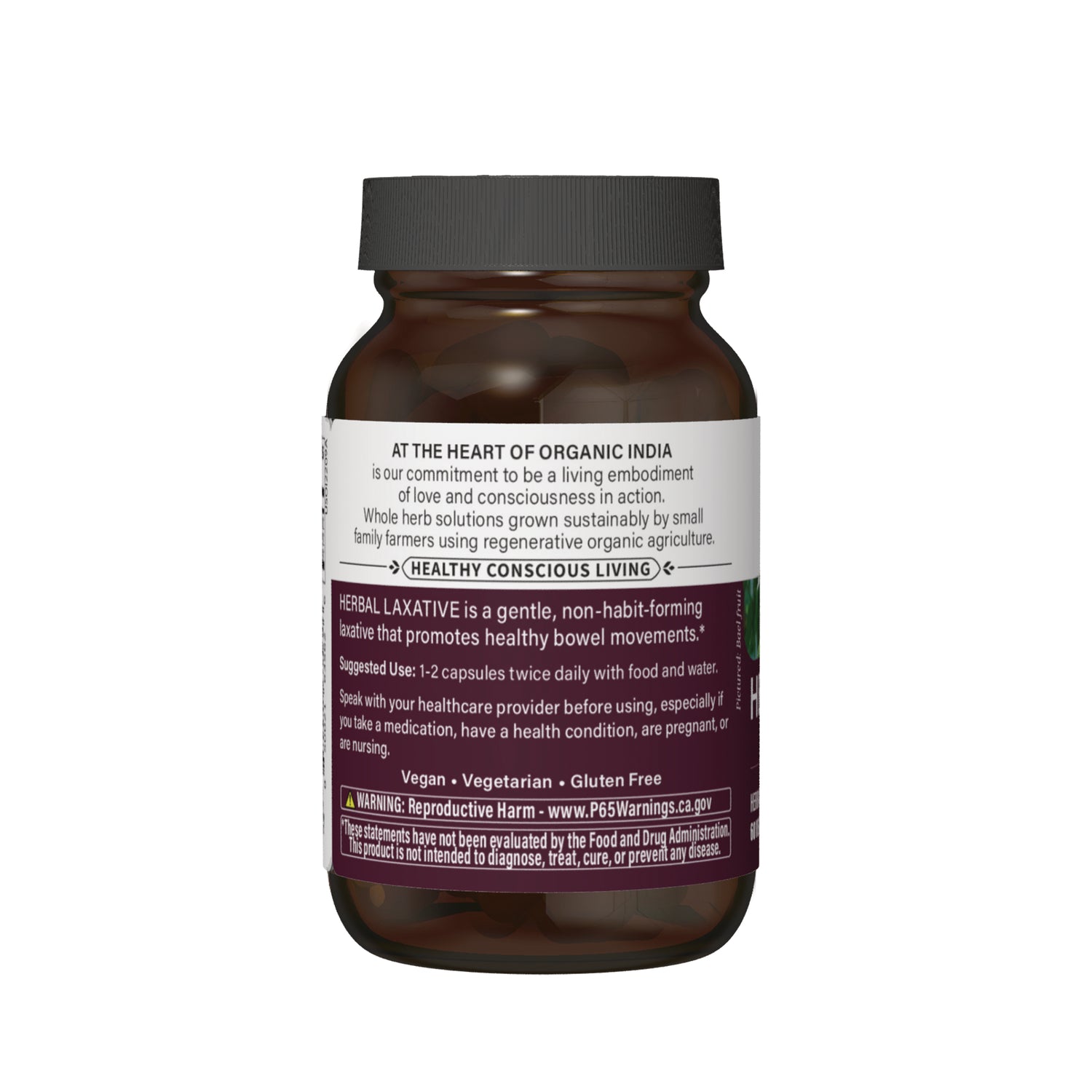 RGN113 | back label of brown supplement bottle showing usage directions, vegan vegetarian gluten free claims and warning text