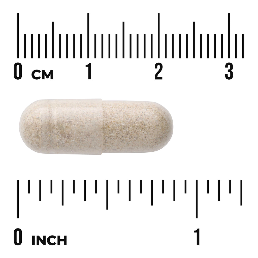 SW1044 | Beige capsule with size scale in centimeters and inches - Thumbnail