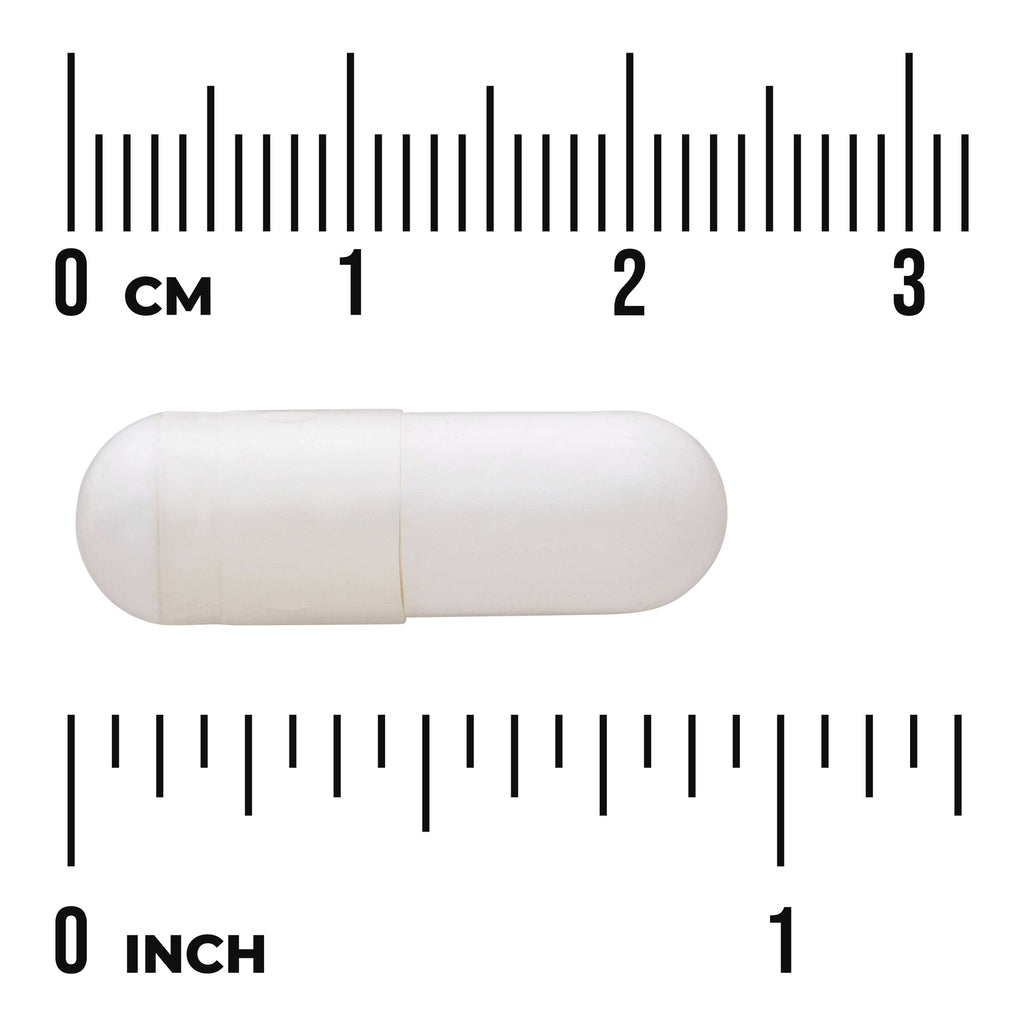 SWA032 | White capsule shown to scale with cm and inch rulers - Thumbnail