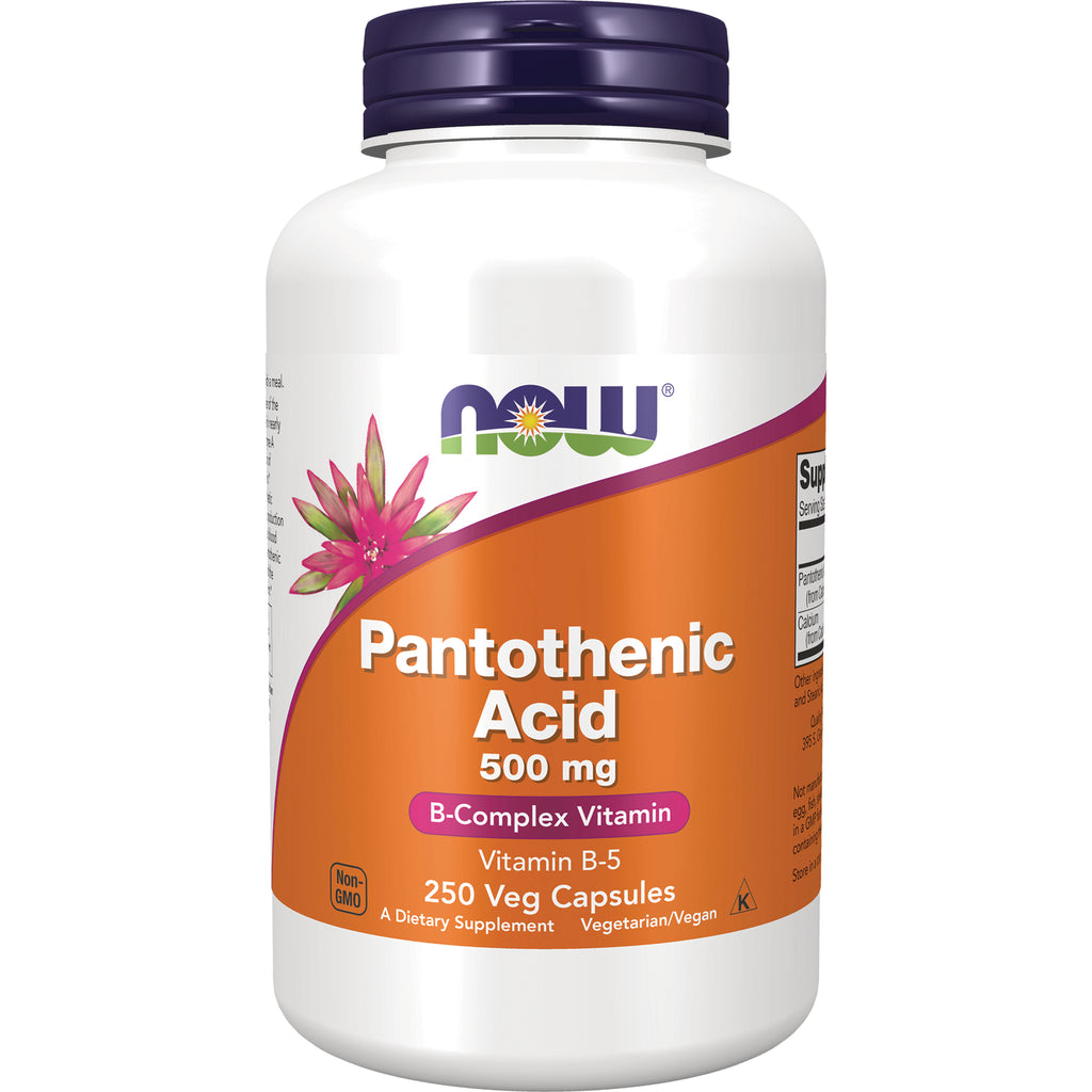 NWF1466 | White bottle of NOW Pantothenic Acid 500 mg B-Complex Vitamin, 250 veg capsules, front label - Thumbnail