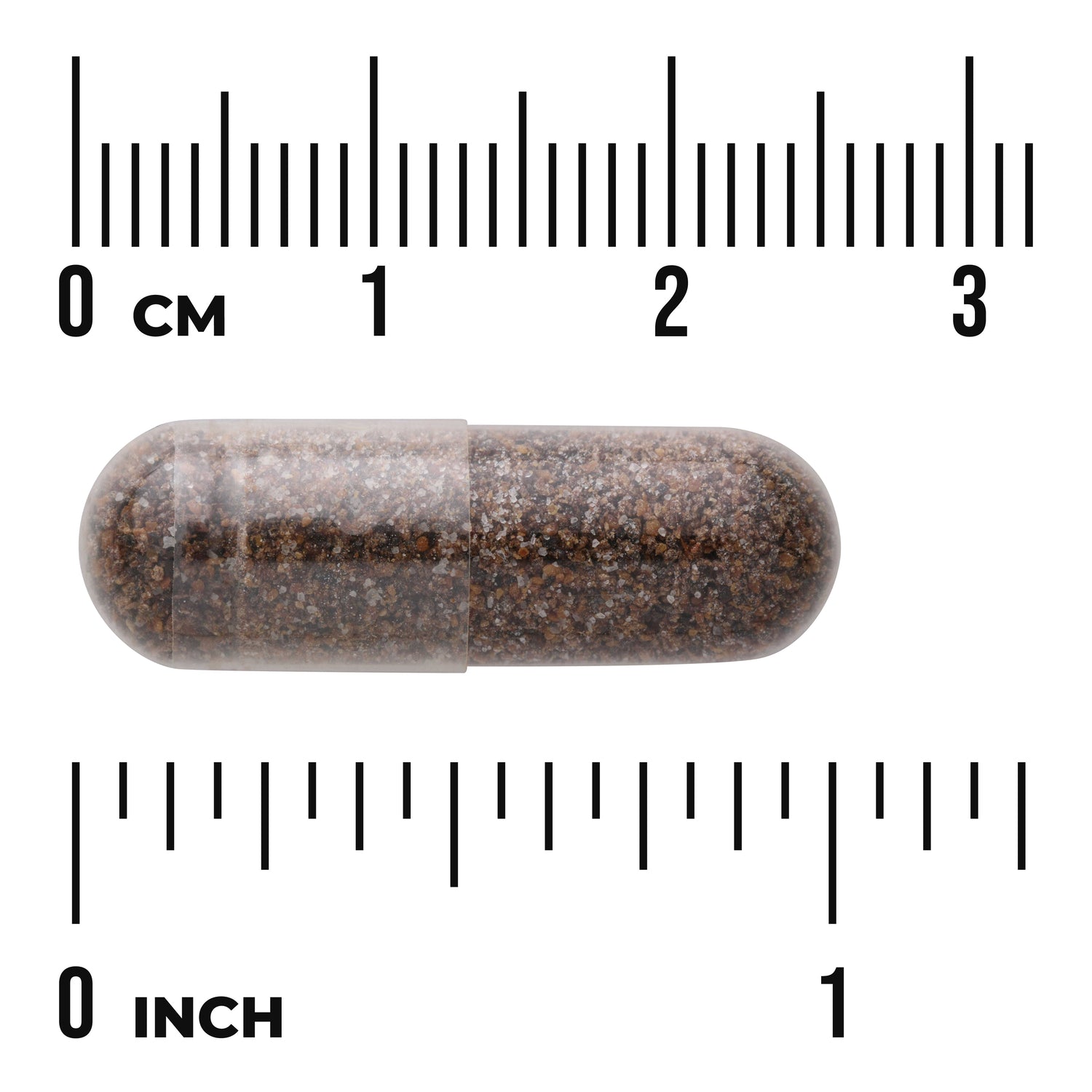 SW1037 | Brown capsule shown to scale with rulers labeled CM and INCH