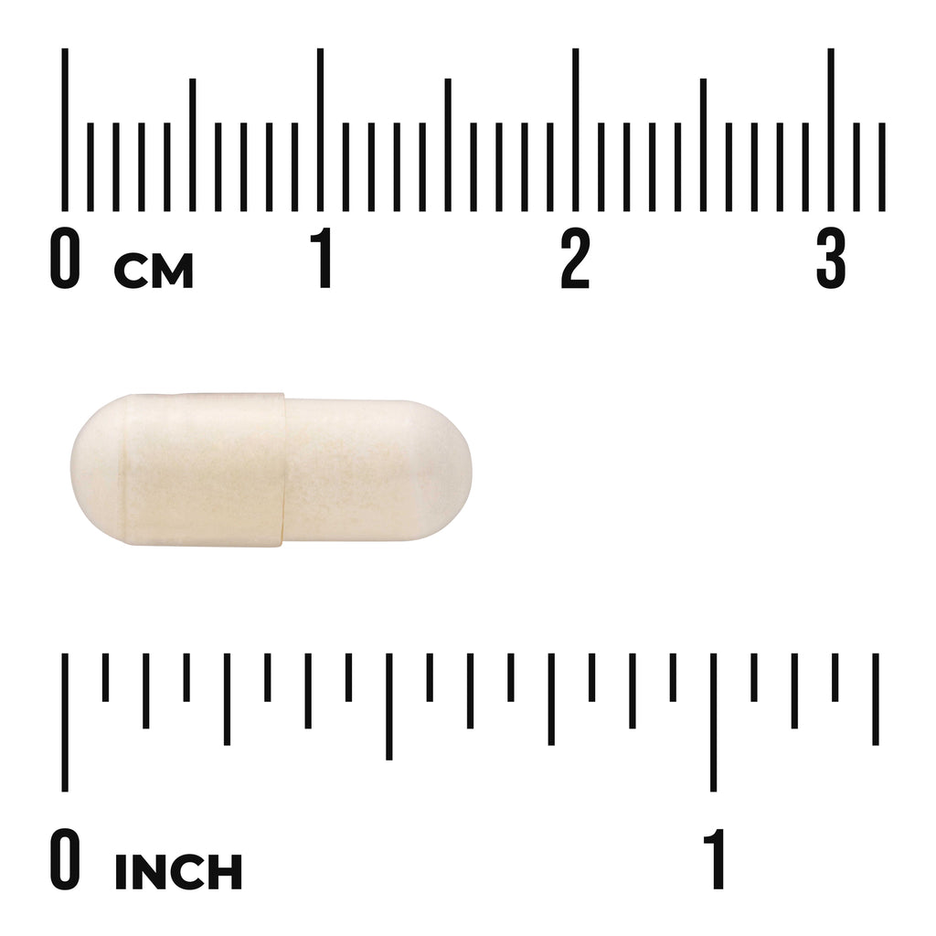 SW1241 | White capsule beside centimeter and inch rulers indicating size - Thumbnail
