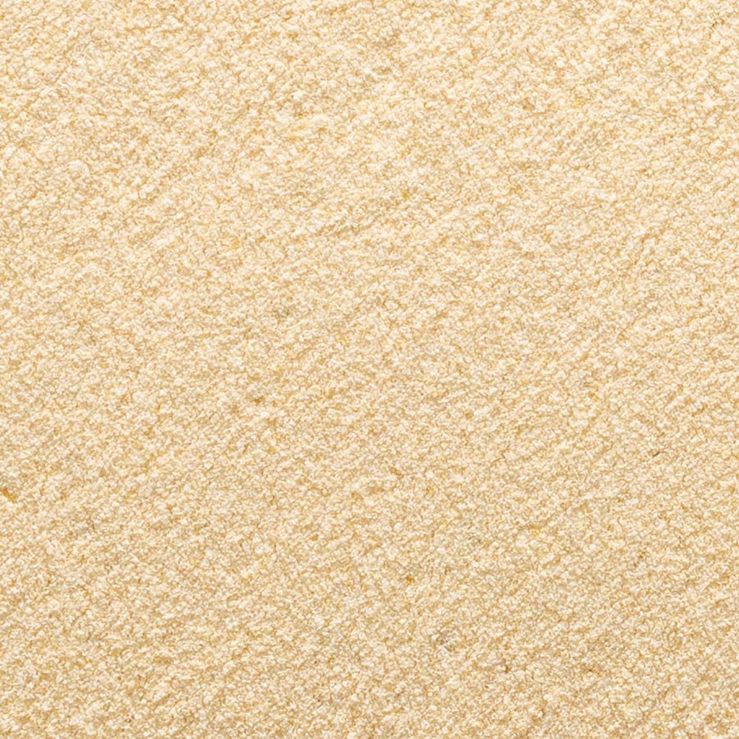 FNP056 | close-up beige powdered supplement texture with fine granules