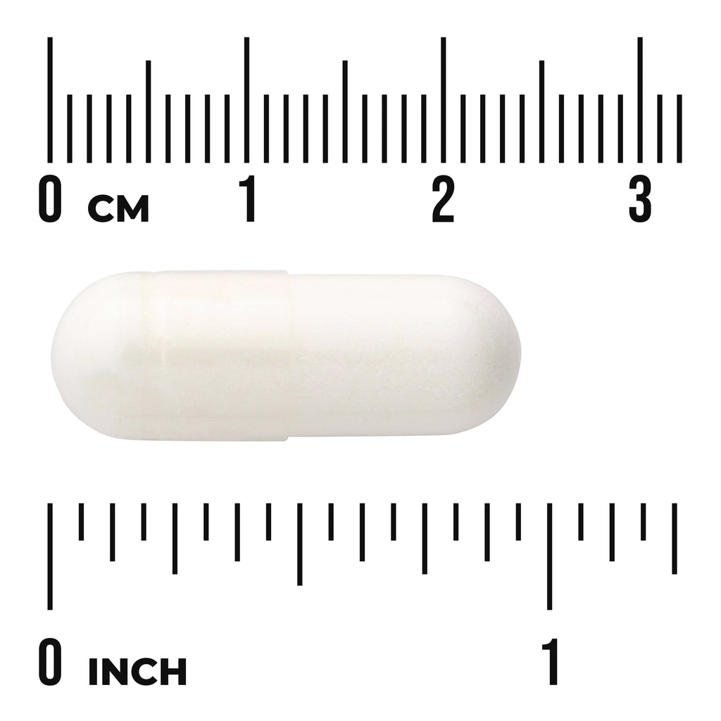 SWU1034 | White capsule shown with cm and inch rulers for size reference - Thumbnail