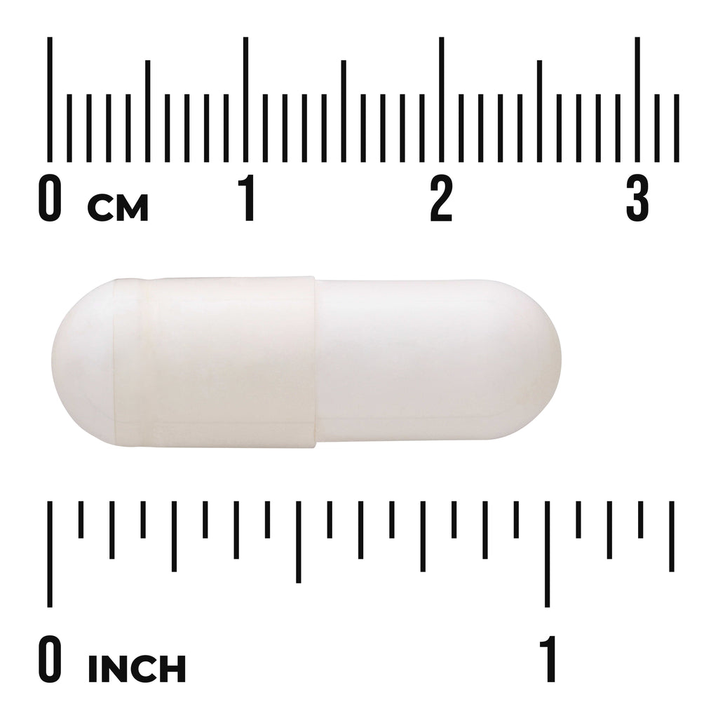 SW1713 | White capsule shown with cm and inch rulers for size reference - Thumbnail