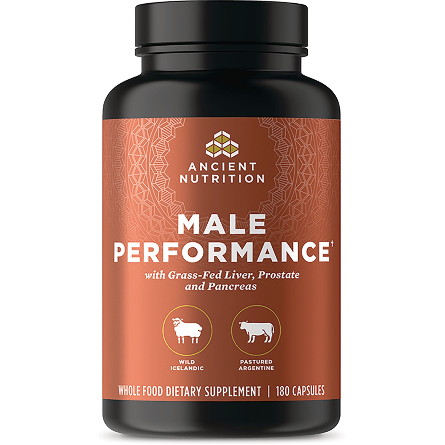 ATN100 | Ancient Nutrition Male Performance supplement bottle with orange label and 180 capsules