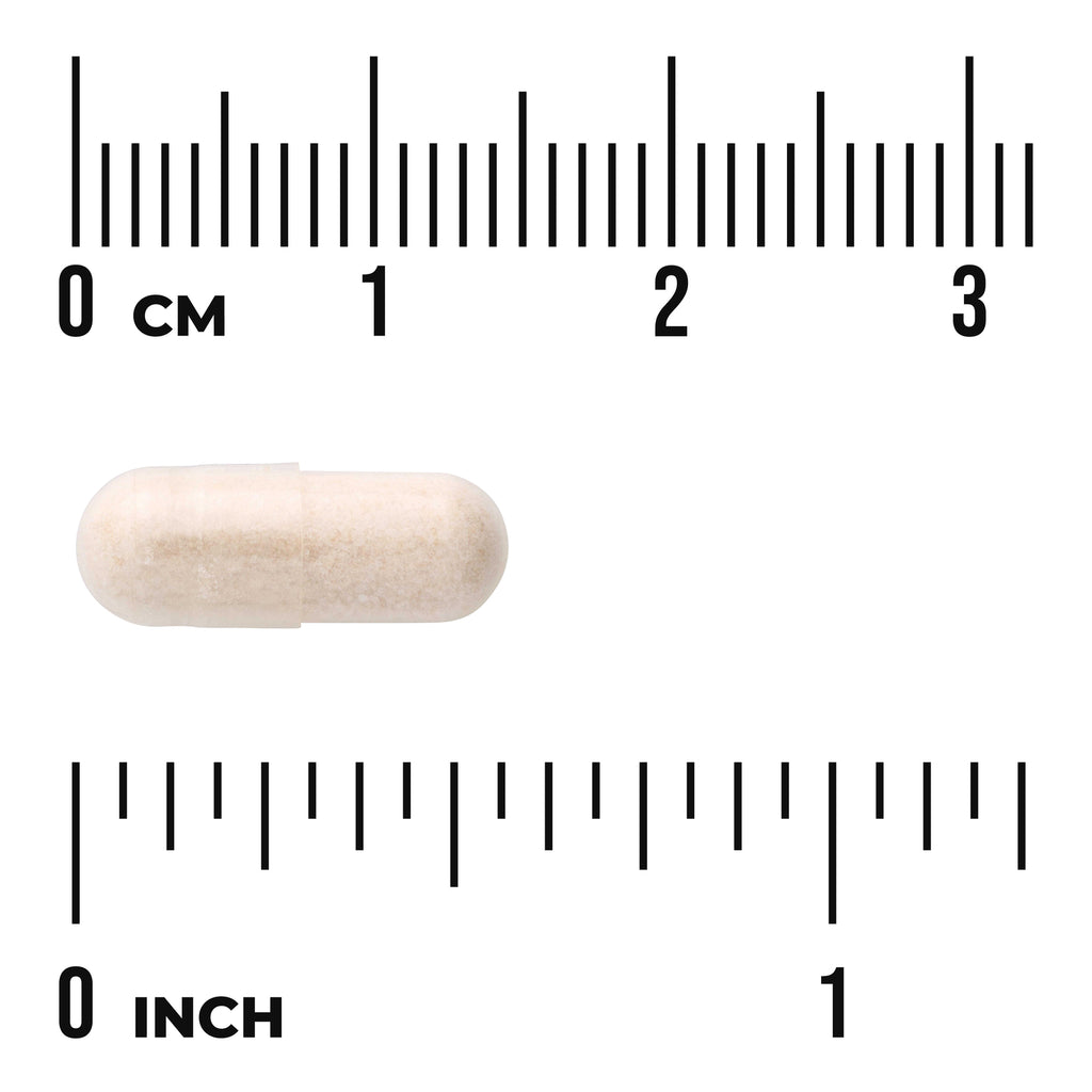 SWU536 | White supplement capsule beside centimeter and inch rulers showing size, visible text "0 cm" and "0 inch" - Thumbnail