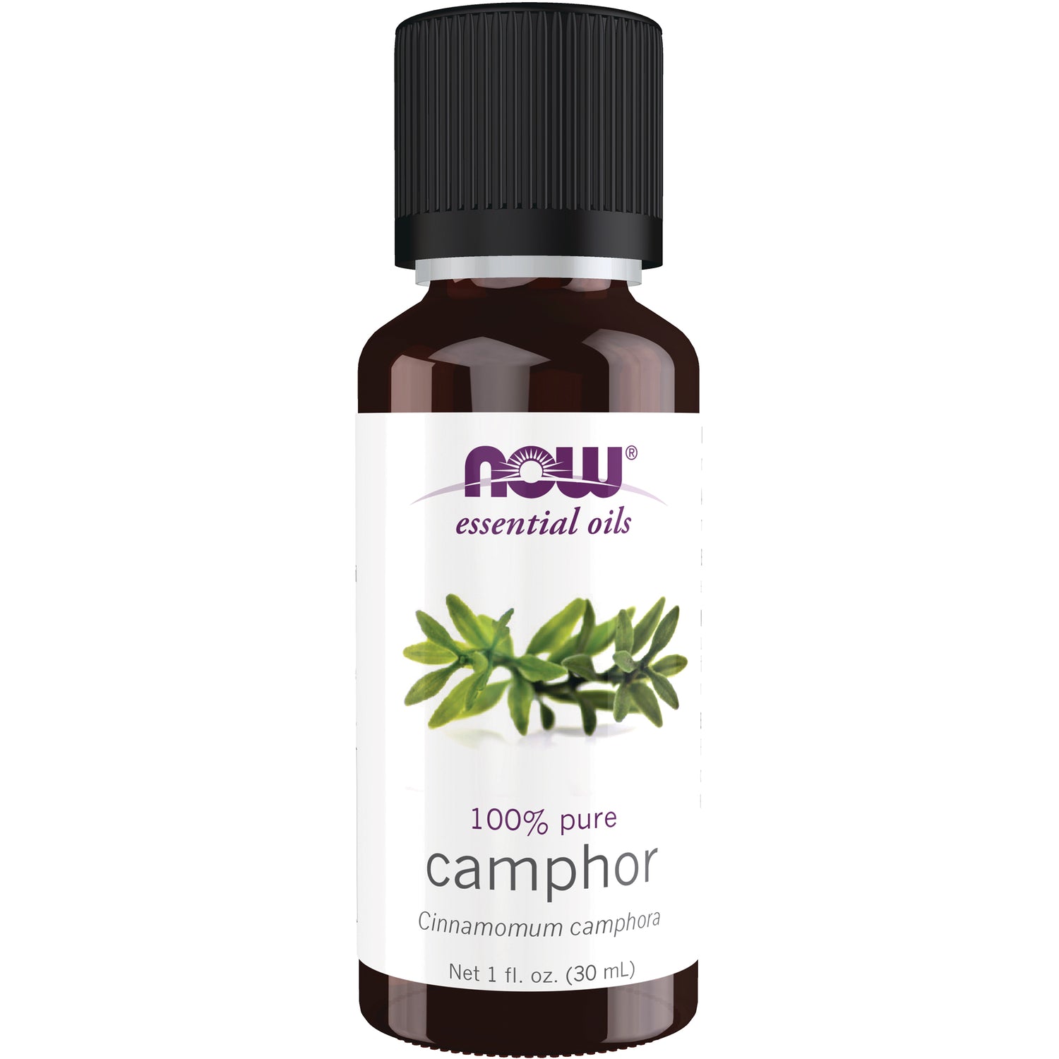 NWF186 | NOW essential oils camphor 100% pure 1 fl oz brown glass bottle with label showing plant