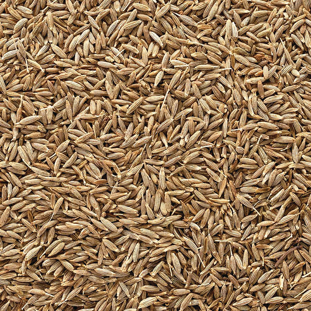 FNP078 | close-up of loose brown cumin seeds with textured ridges - Thumbnail