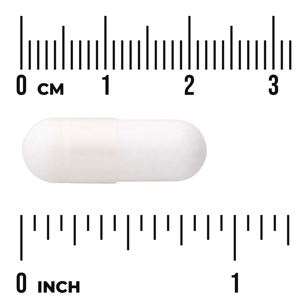SWU799 | White capsule on centimeter and inch rulers showing pill size - Thumbnail