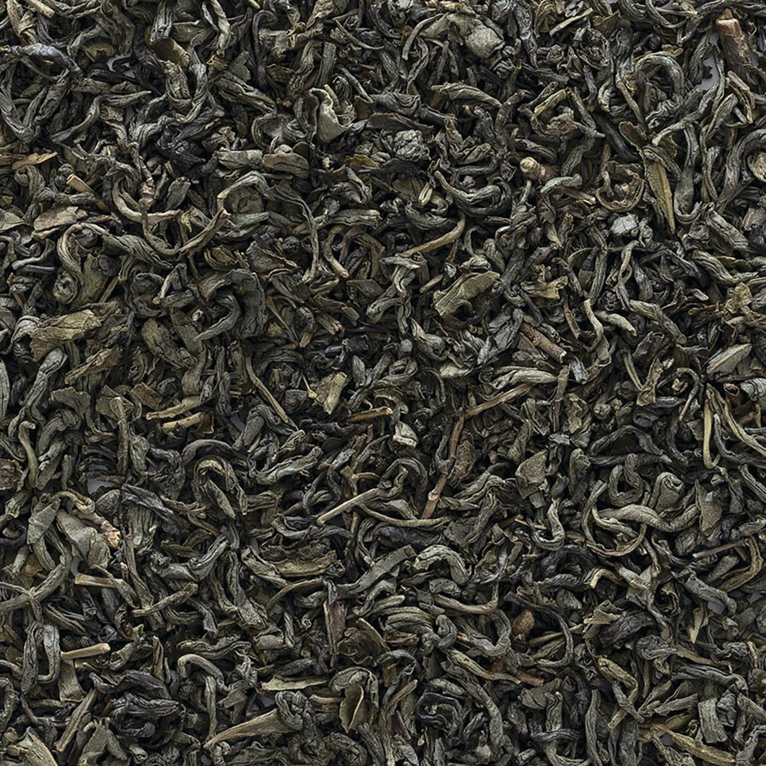 FNP083 | close-up of loose dried green tea leaves with curled whole-leaf texture
