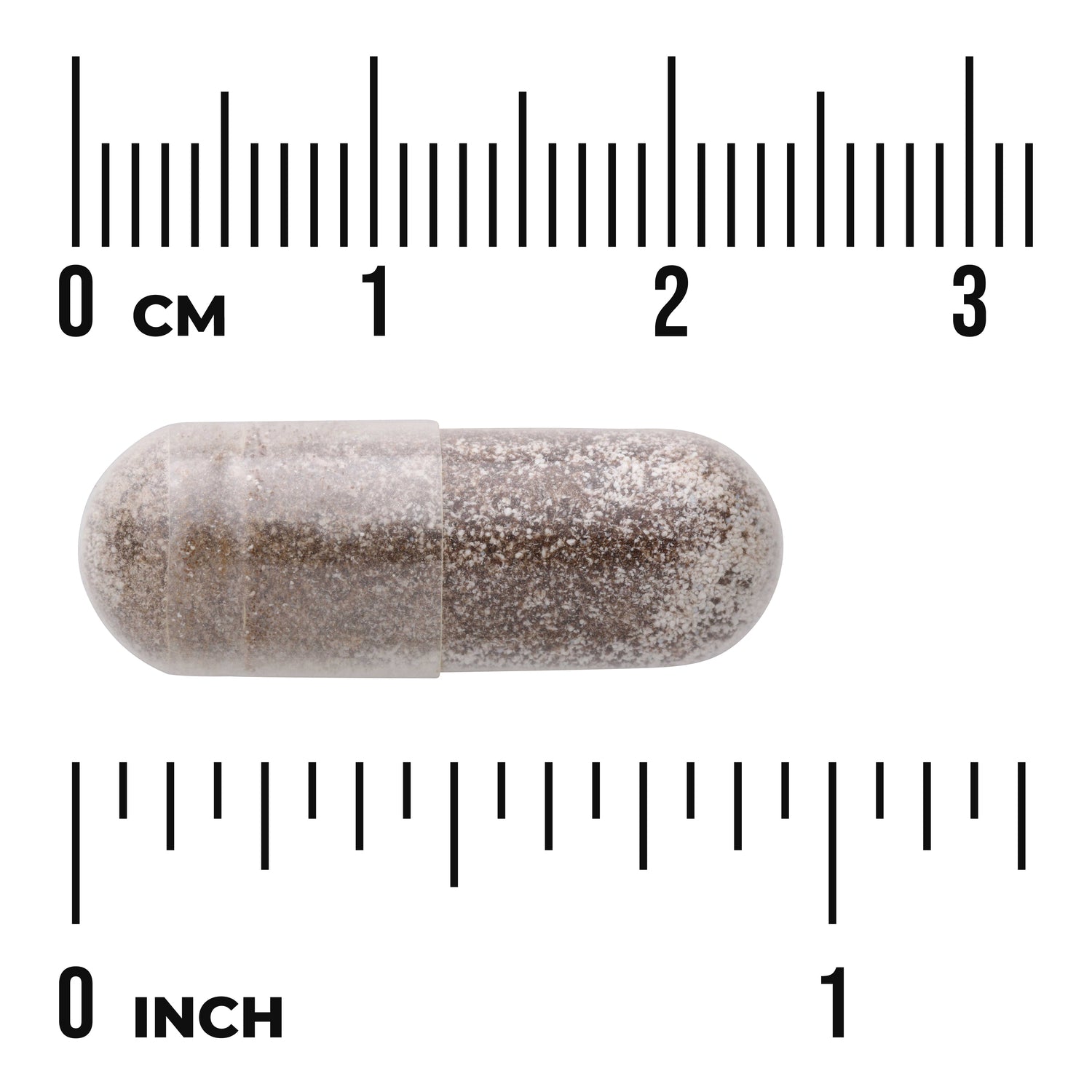 SWH150 | Brown powder-filled capsule with size reference rulers in centimeters and inches