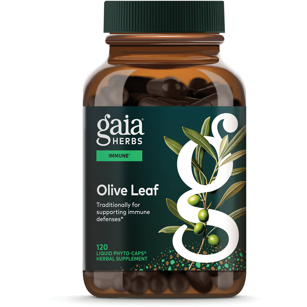 GH071 | Gaia Herbs Olive Leaf supplement bottle front showing label Immune Support and 120 vegan liquid phyto-caps - Thumbnail