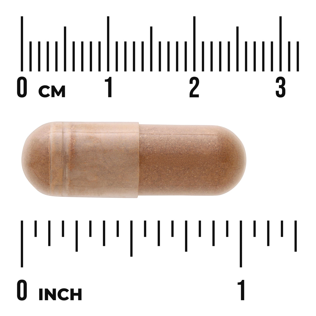 SW1444 | Brown capsule with size scale in cm and inches - Thumbnail