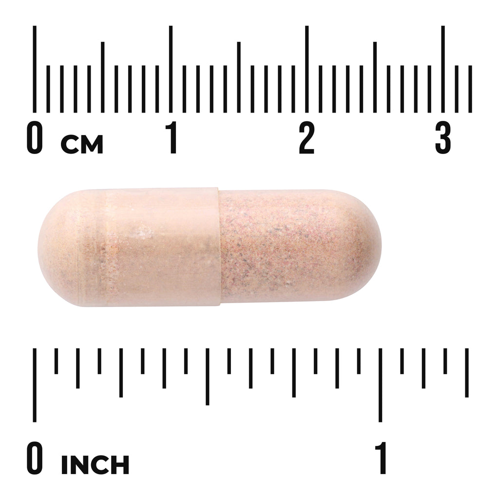SWC101 | Capsule form with size reference in centimeters and inches - Thumbnail