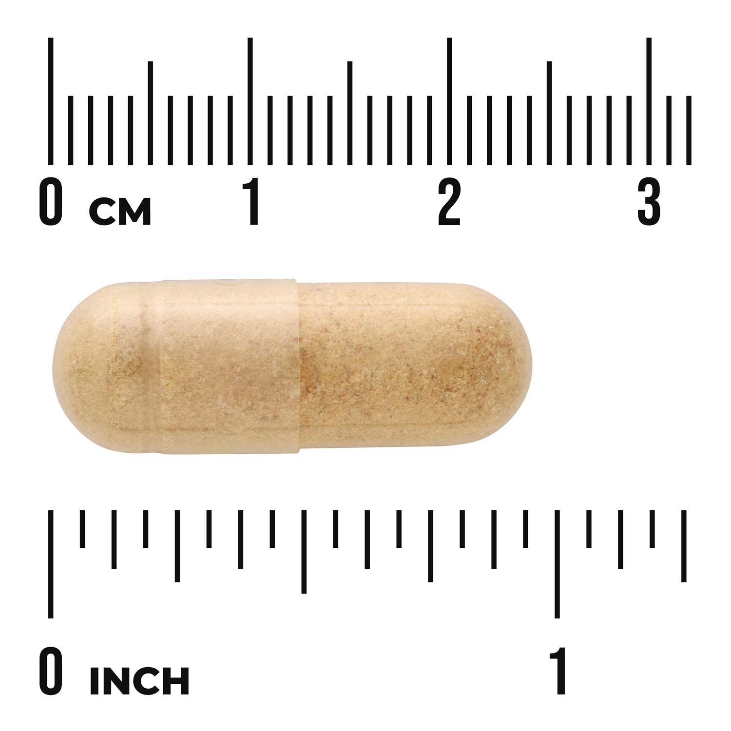 SW1158 | Size reference of tan capsule with ruler markings in inches and centimeters